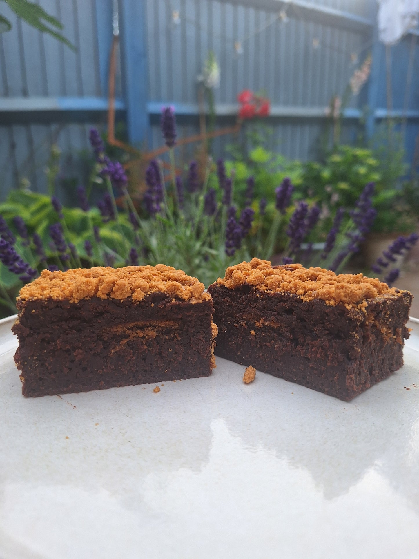 Biscoff Espresso Brownie ☕🍪