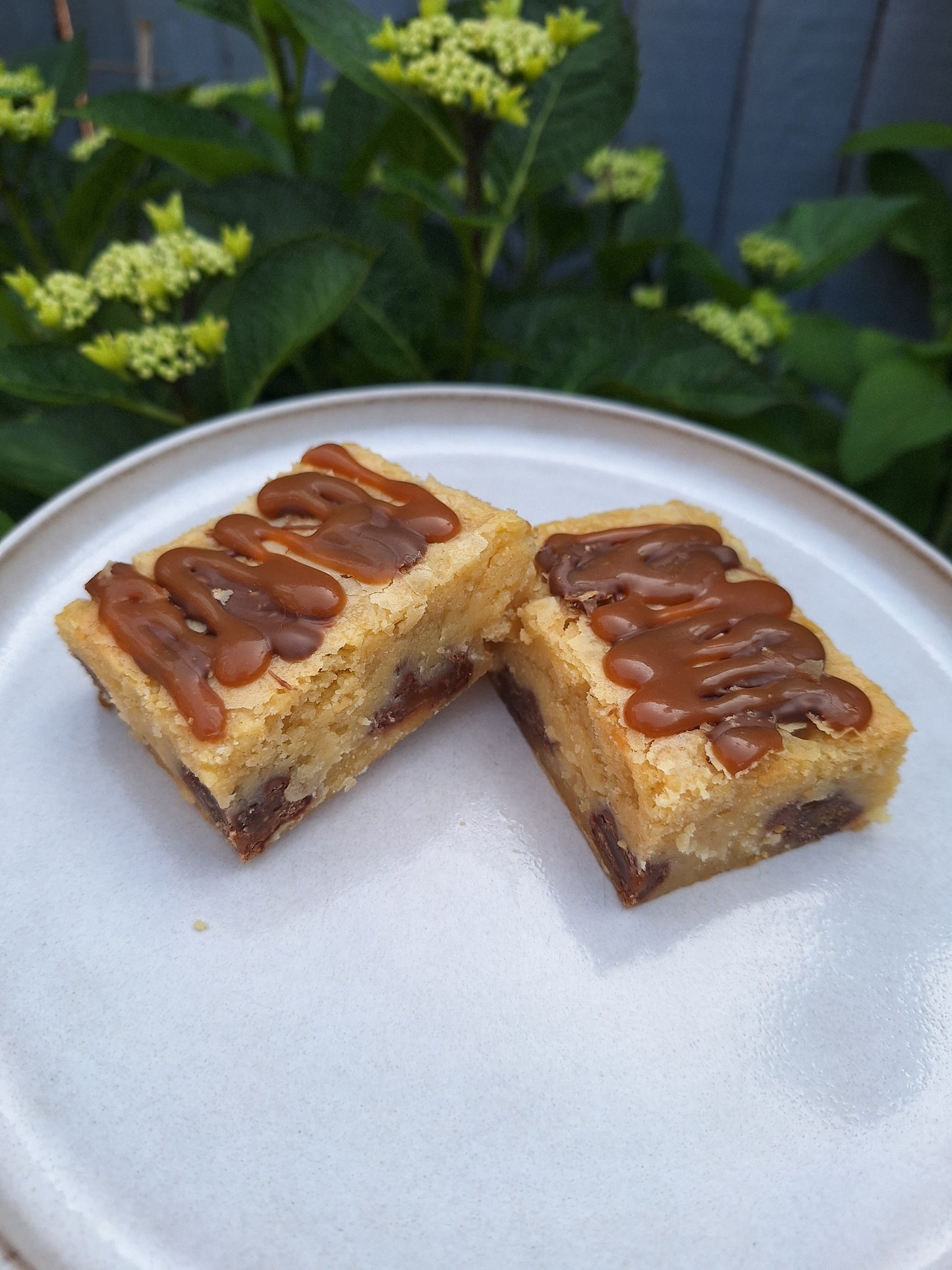 Munchies Blondie